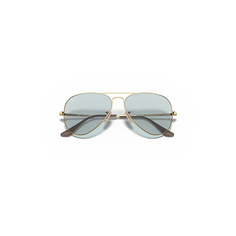 RB3689 SOLID EVOLVE Sunglasses in Arista Gold and Evolve Photo