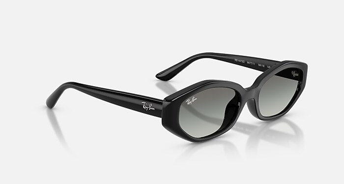 Ray-Ban ラウンド型サングラス ブラック レイバン公式ストア】 Ray-Ban® RB4473D サングラス | ブラック X 諧調