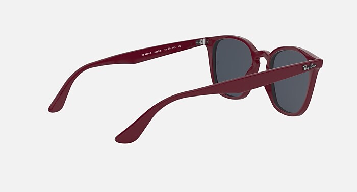 レイバン RB4258F RB4258 Sunglasses in Black and Brown - RB4258F | Ray-Ban® US