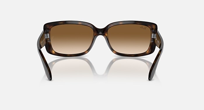 Ray Ban サングラス レイバン公式ストア】 Ray-Ban® RB4389 サングラス | ハバナ X クリア