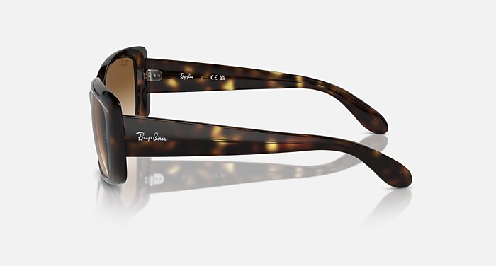 小物 Ray-ban Óculos de Sol RB4389 em Havana e Marrom transparente - RB4389