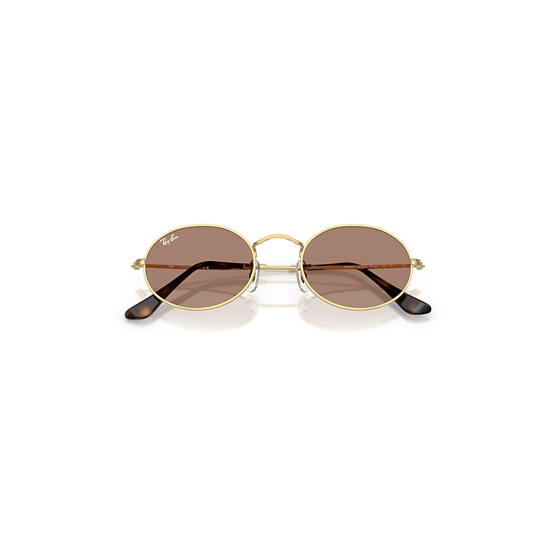 Ray Ban Oval Metal Summer Capsule Sunglasses Arista Gold Frame Violet Lenses 51-21 In Arista Gold