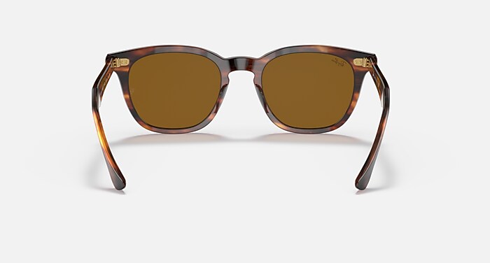 HAWKEYE Sunglasses in Striped Havana and Brown - RB2298 | Ray-Ban® US