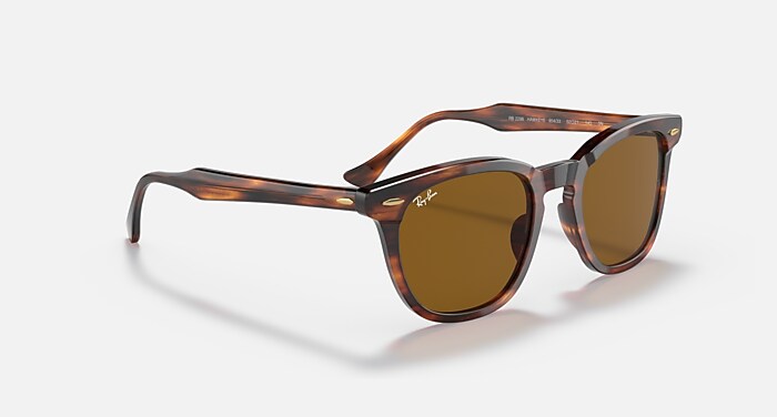 HAWKEYE Sunglasses in Striped Havana and Brown - RB2298 | Ray-Ban® US
