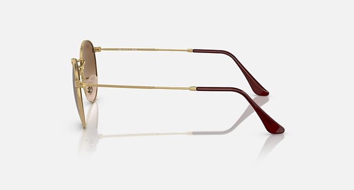 Ray-Ban Sunglasses Man Round Metal - Matte Arista Gold Frame Brown Lenses 50-21
