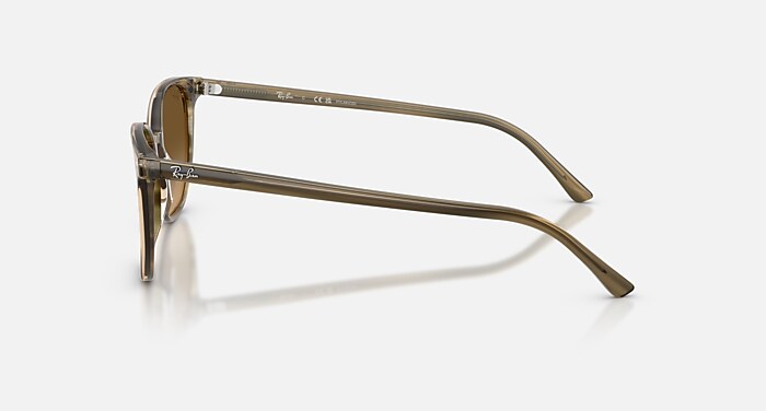 レイバン公式ストア】 Ray-Ban® ELLIOT サングラス | ストライプ