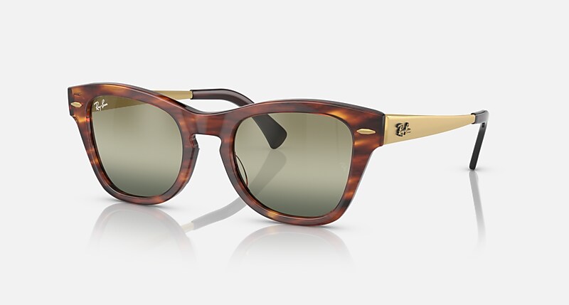RB0707SM Sunglasses in Striped Havana and Green - RB0707SM | Ray  
