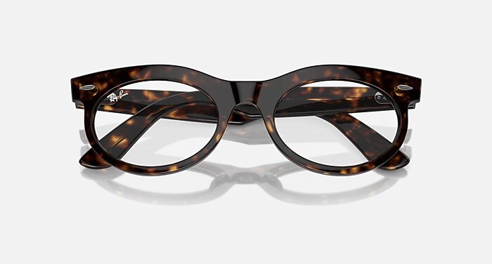 レイバン公式ストア】 Ray-Ban® WAYFARER OVAL TRANSITIONS