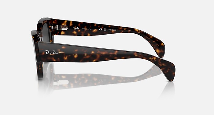 JORGE Sunglasses in Havana and Black - RB7681S | Ray-Ban®