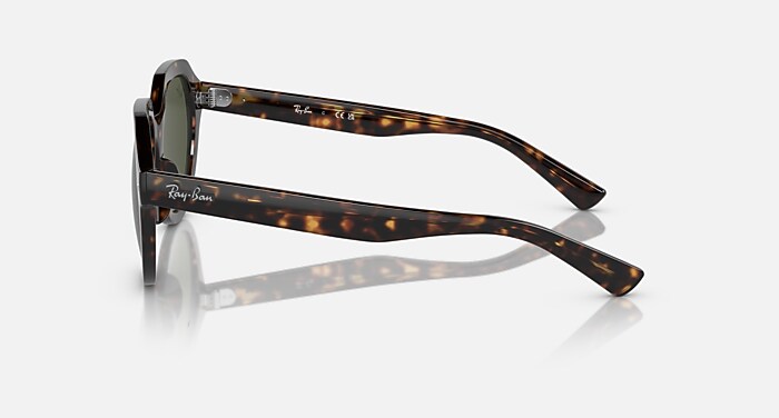 GINA Sunglasses in Havana and Green - RB4399 | Ray-Ban® US display picture 3