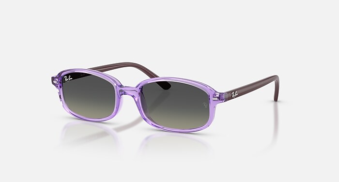 Purple and Gray Round RayBans Ray-Ban Round Flat Sunglasses Purple And Gray Frame Blue  main image 4