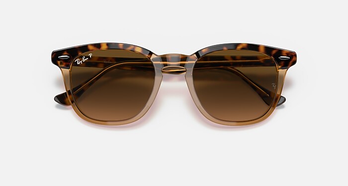 レイバン公式ストア】 Ray-Ban® HAWKEYE サングラス | 透明ブラウン上