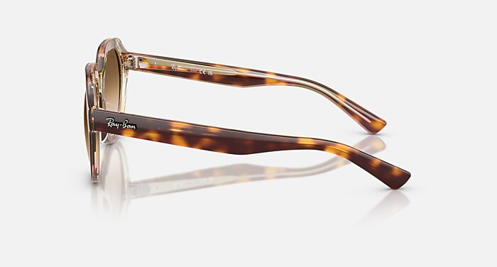 GINA Sunglasses in Light Havana On Multicolor and Clear Gradient