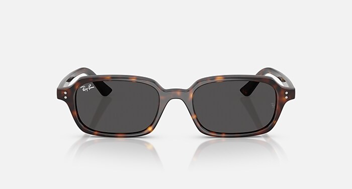 ZURI BIO-BASED Sunglasses in Havana and Dark Grey - RB4455 | Ray