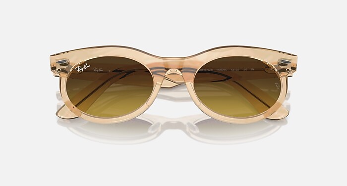 WAYFARER OVAL CHANGE Sunglasses in Photo Waves Brown and Brown