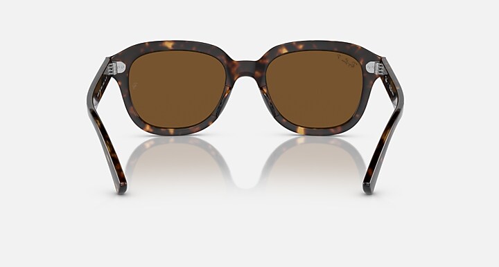 Ray-Ban Sunglasses Erik Havana Frame Brown Lenses