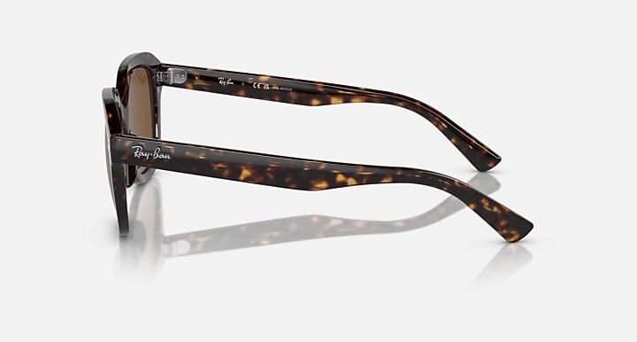 Ray-Ban Sunglasses Erik Havana Frame Brown Lenses