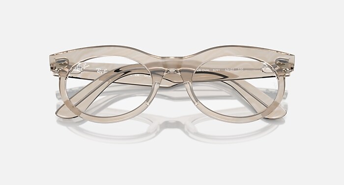 WAYFARER OVAL OPTICS CHANGE Eyeglasses with Photo Waves Grey Frame