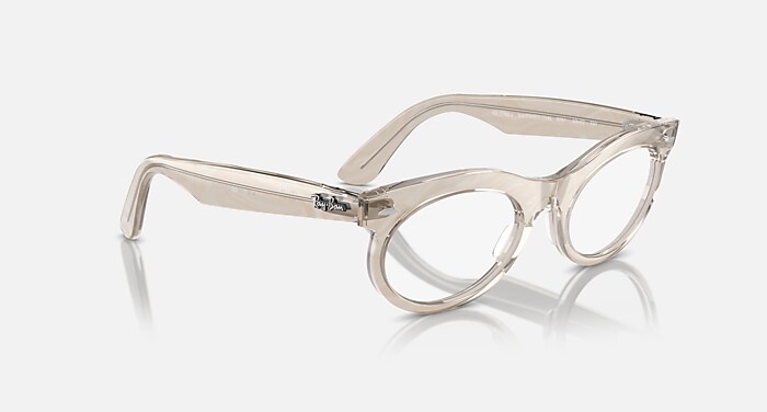 WAYFARER OVAL OPTICS CHANGE Eyeglasses with Photo Waves Grey Frame