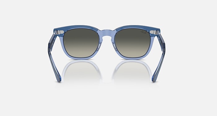 Ray Ban サングラス　W2906 Ray-Ban(レイバン) / サングラス/ウェリントン/ベッコウ柄/BRW