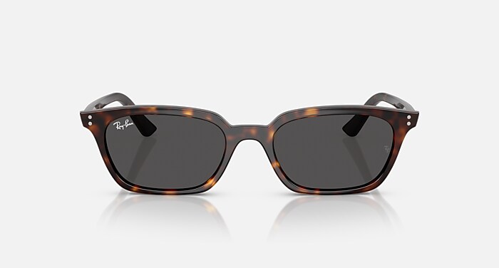ZAYA BIO-BASED Sunglasses in Havana and Dark Grey - RB4456