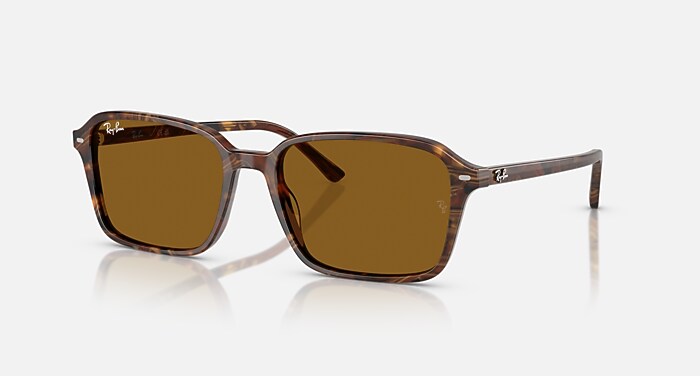Ray-Ban RB 8031 サングラス シルバーケース付 レイバン公式ストア 