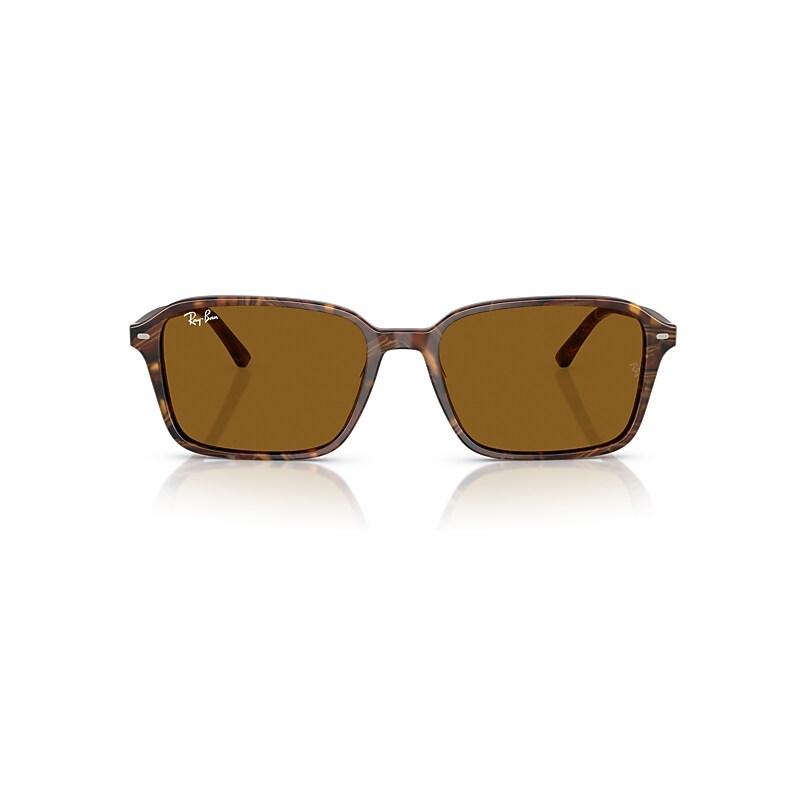 Ray Ban Raimond Sunglasses Transparent Fantasy Brown Frame Brown Lenses 56-18 In Transparent Fantasy Brown
