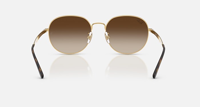 Ray-Ban サングラス ブラウン/ゴールド レイバン公式ストア】 Ray-Ban® RB3727D サングラス | アリスタ