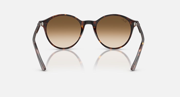 Ray-Ban Sunglasses Unisex Bernard - Havana Frame Brown Lenses 53-21