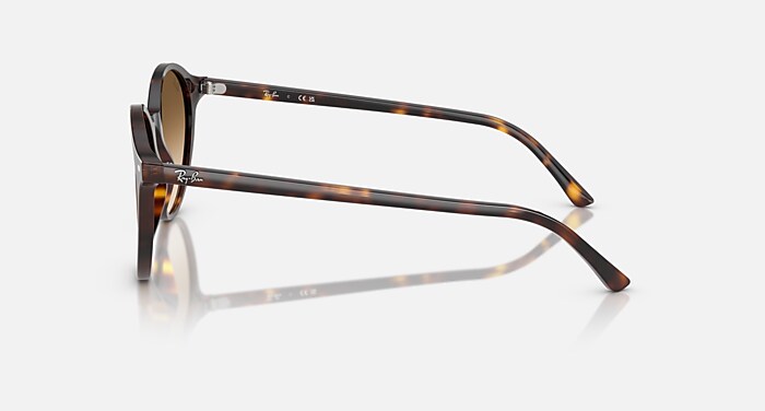 Ray-Ban Sunglasses Unisex Bernard - Havana Frame Brown Lenses 53-21
