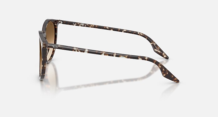 Ray-Ban Sunglasses Unisex Rb2204 - Havana Yellow Turtle Frame Brown Lenses 54-20