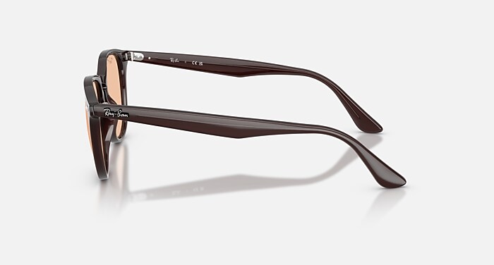 レイバン公式ストア】 Ray-Ban® RB4259 サングラス