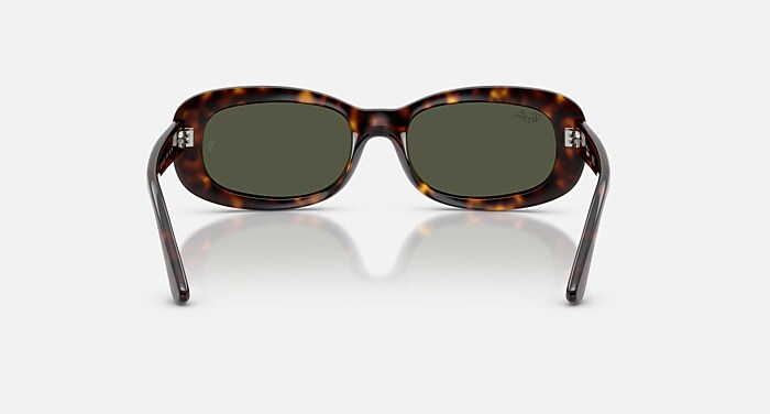 レイバン公式ストア】 Ray-Ban® RB2221 サングラス | ハバナ X