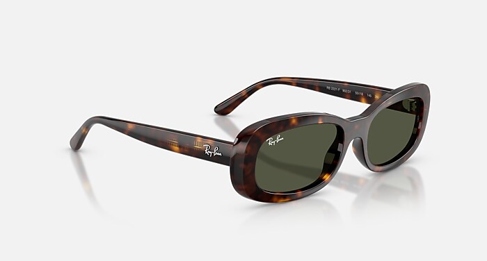 レイバン公式ストア】 Ray-Ban® RB2221 サングラス | ハバナ X