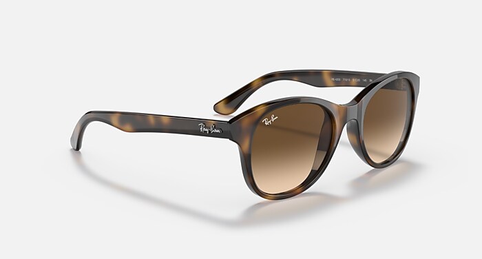 RB4203 Sunglasses in Light Havana and Brown Gradient  display picture 2