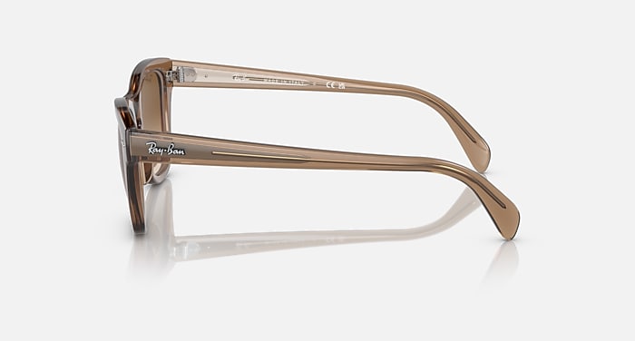 RB0707S Sunglasses in Transparent Light Brown and Brown - RB0707S 