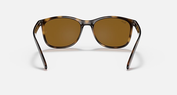 レイバン公式ストア】 Ray-Ban® RB4374 サングラス | ハバナ X