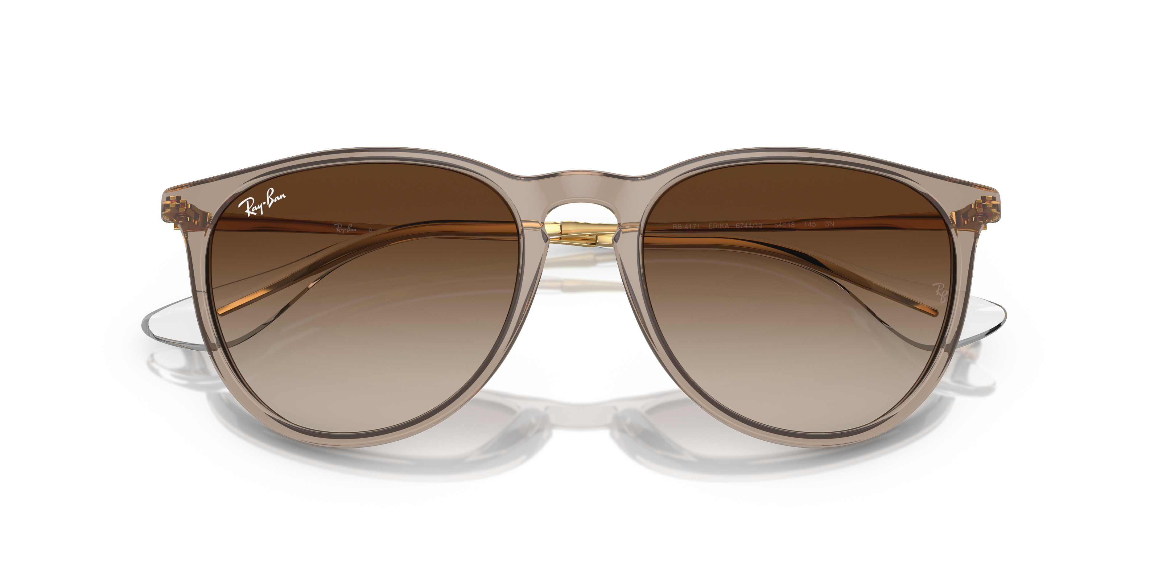 ERIKA CLASSIC Sunglasses in Transparent Light Brown and Brown