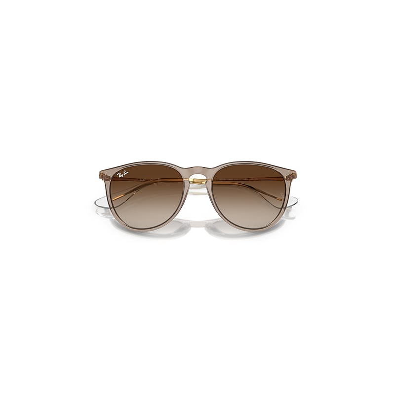 ERIKA CLASSIC Sunglasses in Transparent Light Brown and Brown