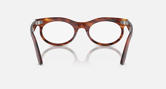 Ray-Ban WAYFARER OVAL OVY大藤氏着用モデル Ray-Ban WAYFARER OVAL OVY大藤氏着用モデル