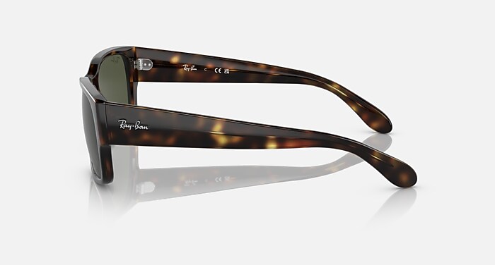 レイバン公式ストア】 Ray-Ban® RB4388 サングラス | ハバナ X 