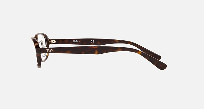 レイバン公式ストア】 Ray-Ban® RB5385 OPTICS メガネ | ダーク