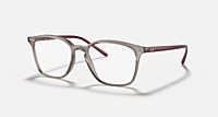 RayBan 透明灰色; 酒红色 null
