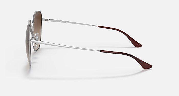 レイバン公式ストア】 Ray-Ban® RB3680D サングラス | シルバー X 諧調 