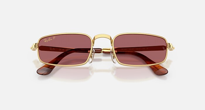 RB3927 BY A$AP ROCKY Sunglasses in Arista Gold and Purple
