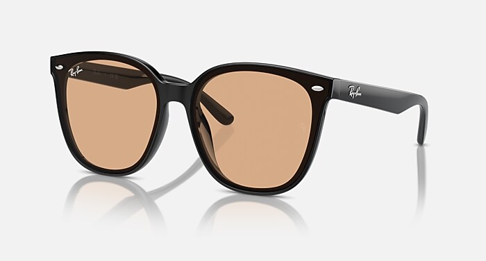 RB4423D Sunglasses in Black and Brown - RB4423D | Ray-Ban® US 