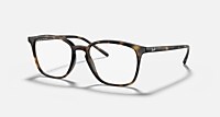 RayBan 哈瓦那; 玳瑁色 null