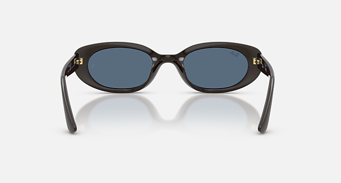 RB4441D YEAR OF THE HORSE EDITION Sunglasses in Full Dark Brown