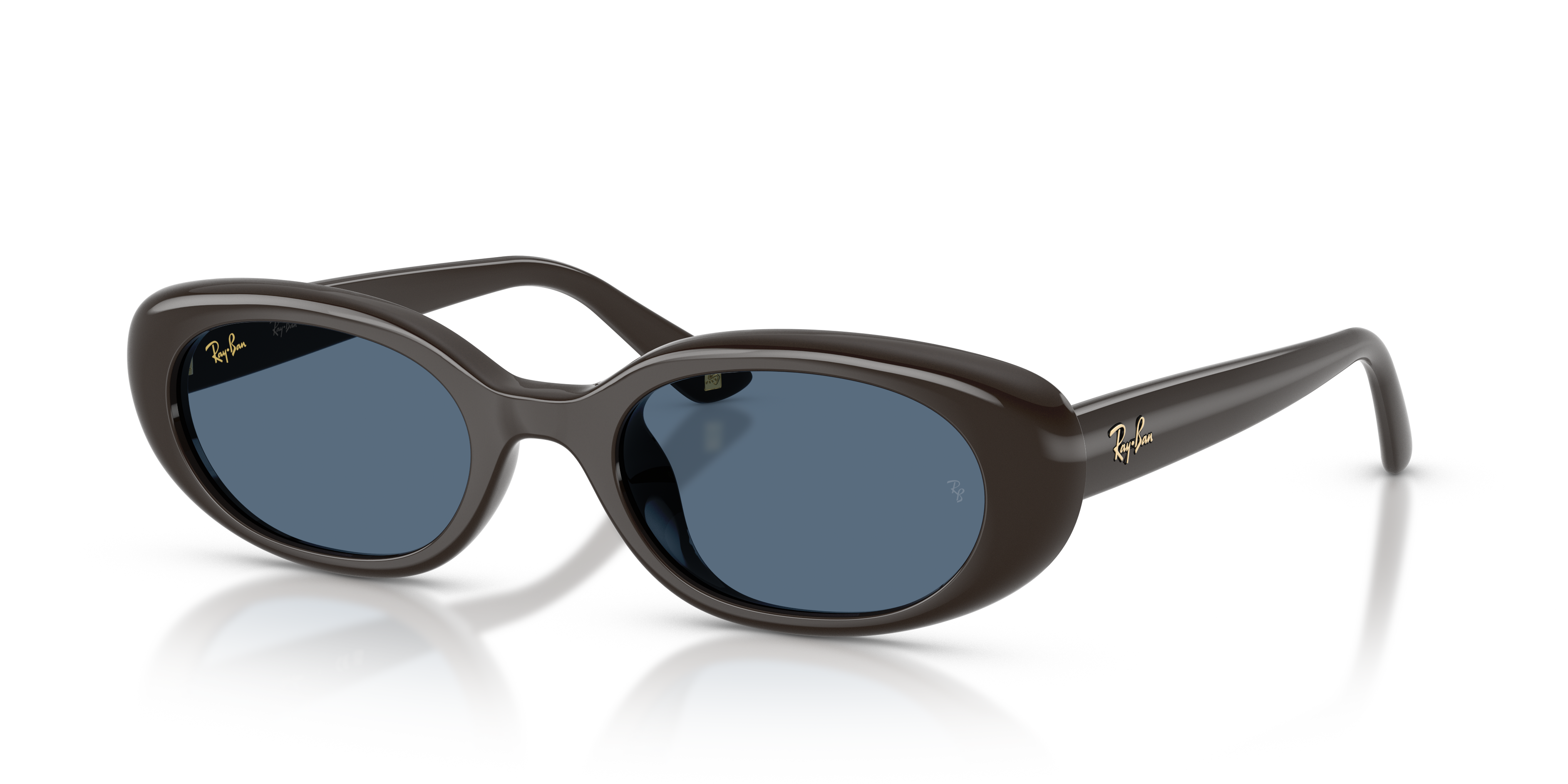 Ray-Ban ブラック オーバルサングラス ORB4441D Ray-Ban 0RB4441D Sunglasses | Shopbop