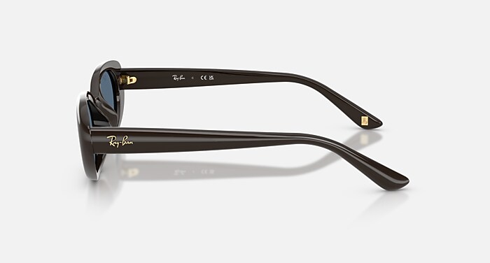 レイバン公式ストア】 Ray-Ban® RB4441D YEAR OF THE HORSE EDITION